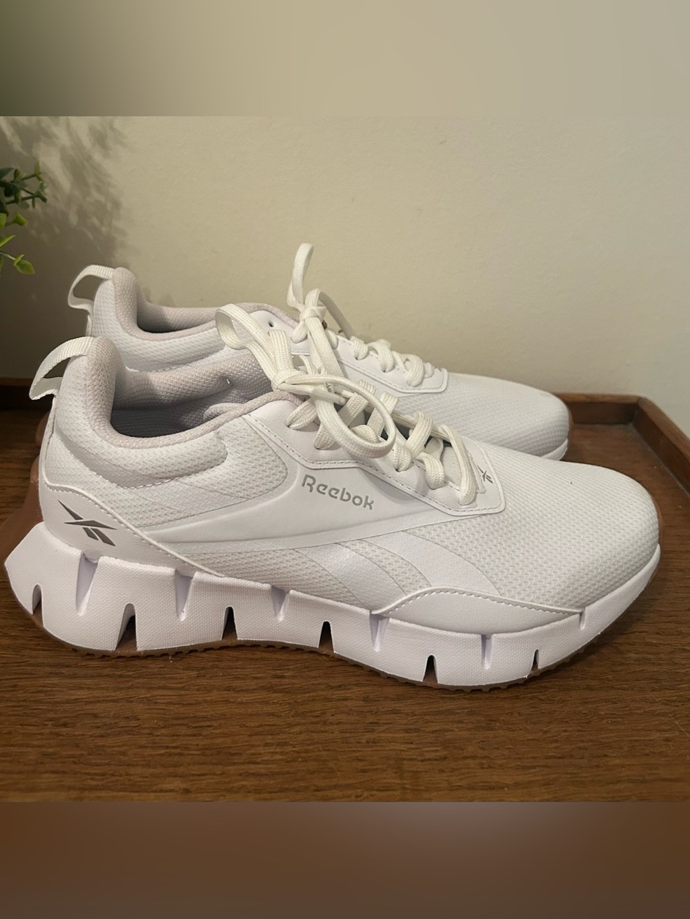 Women's Zig Dynamica STR Running Shoe Size 7.5 NWT